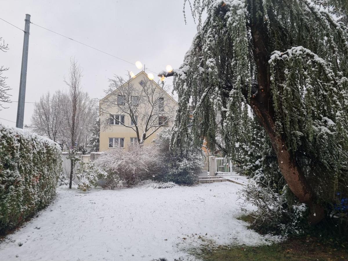 Villa With Private Sauna And Jacuzzi, 8 Min From Schloss Schoebrunn Wien Exterior foto